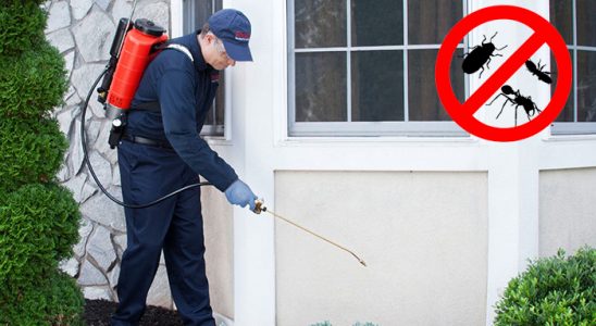 Sungurlu Uçan Haşere İlaçlama böcek ilaçlama ve haşere kontrolü — ilaclama-tr.com